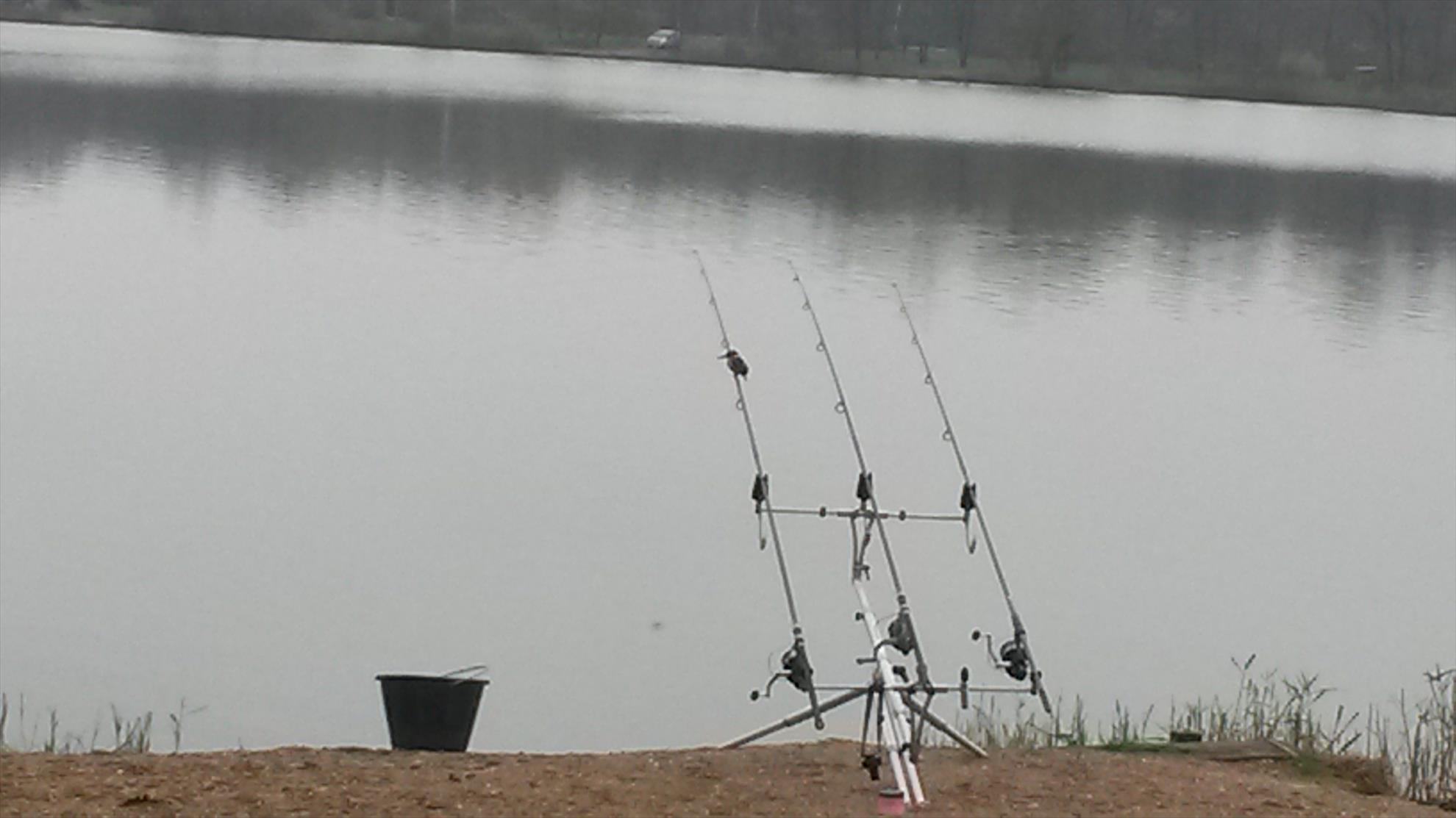 croatia noiembrie 2014 - 20141113142731.jpg